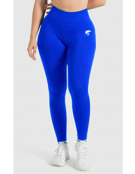 STRIVING PUSH-UP LEGGINS Wear and Build