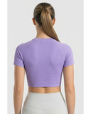 Striving Crop Tops Femmes Wear and Build